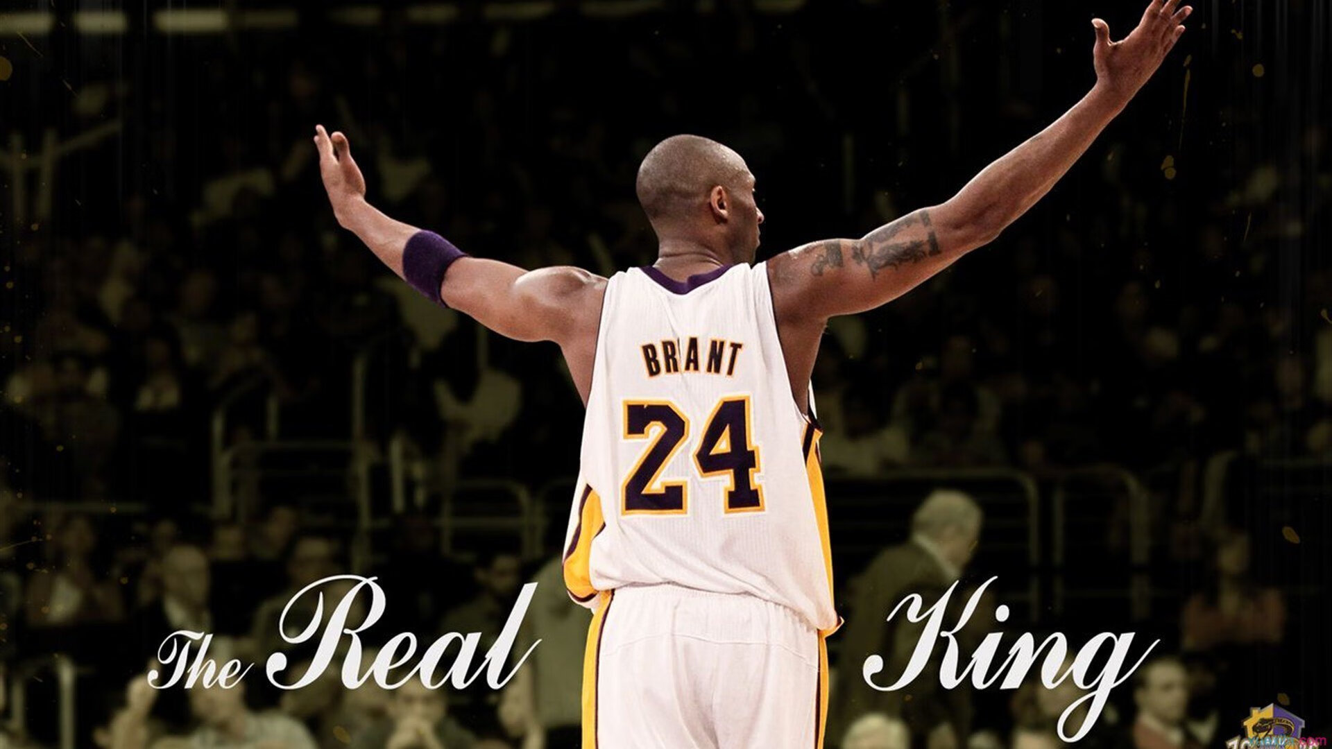 体育新闻中心协办全国体育数字媒体技术交流会，体育数字化